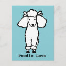 Zoek naar poodle briefkaarten Witte poedel