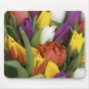 Zoek naar holland muismatten Europa