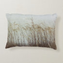 Zoek naar duin kussens Kust