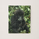 Zoek naar gorilla puzzels Baby