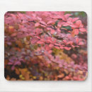 Zoek naar oranje bladeren muismatten Natuur