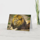 Zoek naar dierentuin kaarten Elk persoon