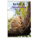 Zoek naar koala kalenders Australië