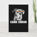 Zoek naar corso kaarten Riethoorntje