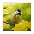 Zoek naar esdoorn tegels Herfst