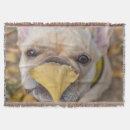 Zoek naar franse bulldog dekens Canine