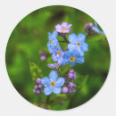Zoek naar vergeet stickers Bloemen
