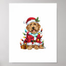 Zoek naar labradoodle kunst Weimaraner