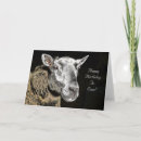 Zoek naar schapen kaarten Voor iedereen