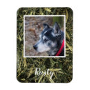 Zoek naar puppy fotografie Creëer je eigen