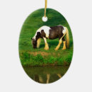 Zoek naar gypsy ornamenten Pony's