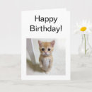 Zoek naar de grappige van de kat verjaardagskaarten Voor hem
