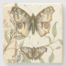 Zoek naar bladeren onderzetters Vlinders