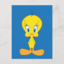 Zoek naar tweety briefkaarten Looney tunes