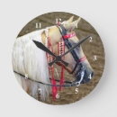 Zoek naar palomino kunst Mooi