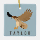 Zoek naar roofvogel ornamenten Rode staarthawk