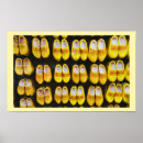 Zoek naar klomp posters Nederlands