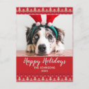 Zoek naar witte herder briefkaarten Prettige feestdagen