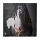 Zoek naar horse tegels Dieren