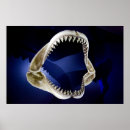 Zoek naar tand posters Zee