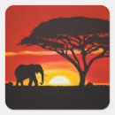Zoek naar afrikaanse zonsondergang stickers Olifant