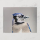 Zoek naar beek briefkaarten Voor iedereen