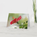 Zoek naar reliëf kaarten Groet