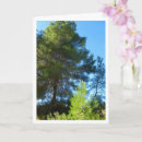 Zoek naar naaldboom kaarten Elk persoon