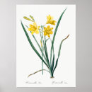 Zoek naar botanical illustration kunst Vintage