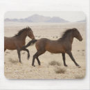 Zoek naar namibië muismatten Dier