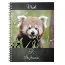 Zoek naar rode panda notitieboeken Dier