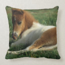 Zoek naar bob kussens Liegen