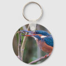 Zoek naar ijsvogel sleutelhangers Dieren in het wild