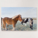 Zoek naar ijslandse paarden puzzels Martin zwick