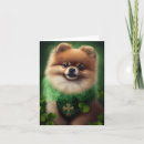 Zoek naar pomeranian hond kaarten Voor iedereen
