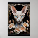 Zoek naar sphynx katten posters Onbehaard
