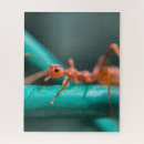 Zoek naar macro puzzels Rood