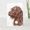 Zoek naar chocolate kaarten Labradoodle
