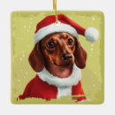 Zoek naar teckel kerstdecoratie Plezier