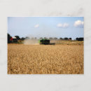 Zoek naar molen briefkaarten Zomer