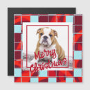 Zoek naar engelen afbeeldingen kaarten Foto