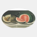 Zoek naar meloenen stickers Elk persoon