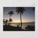 Zoek naar filipijnen briefkaarten Palmbomen