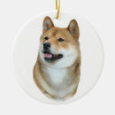 Zoek naar shiba inu kerstdecoratie Puppy