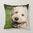 Zoek naar pantser kussens Hond