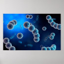 Zoek naar biomedisch posters Wetenschap