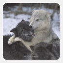 Zoek naar verenigde staten stickers Dag