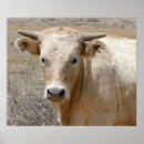 Zoek naar westerns posters Voor kinderen