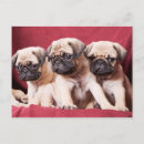 Zoek naar triplets briefkaarten Schattig
