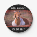 Zoek naar geiten borden Verjaardag